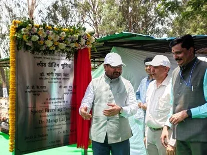 Foundation Stone Laid for Advanced Speed Breeding Facility at ICAR–IIRR, Hyderabad photo 3